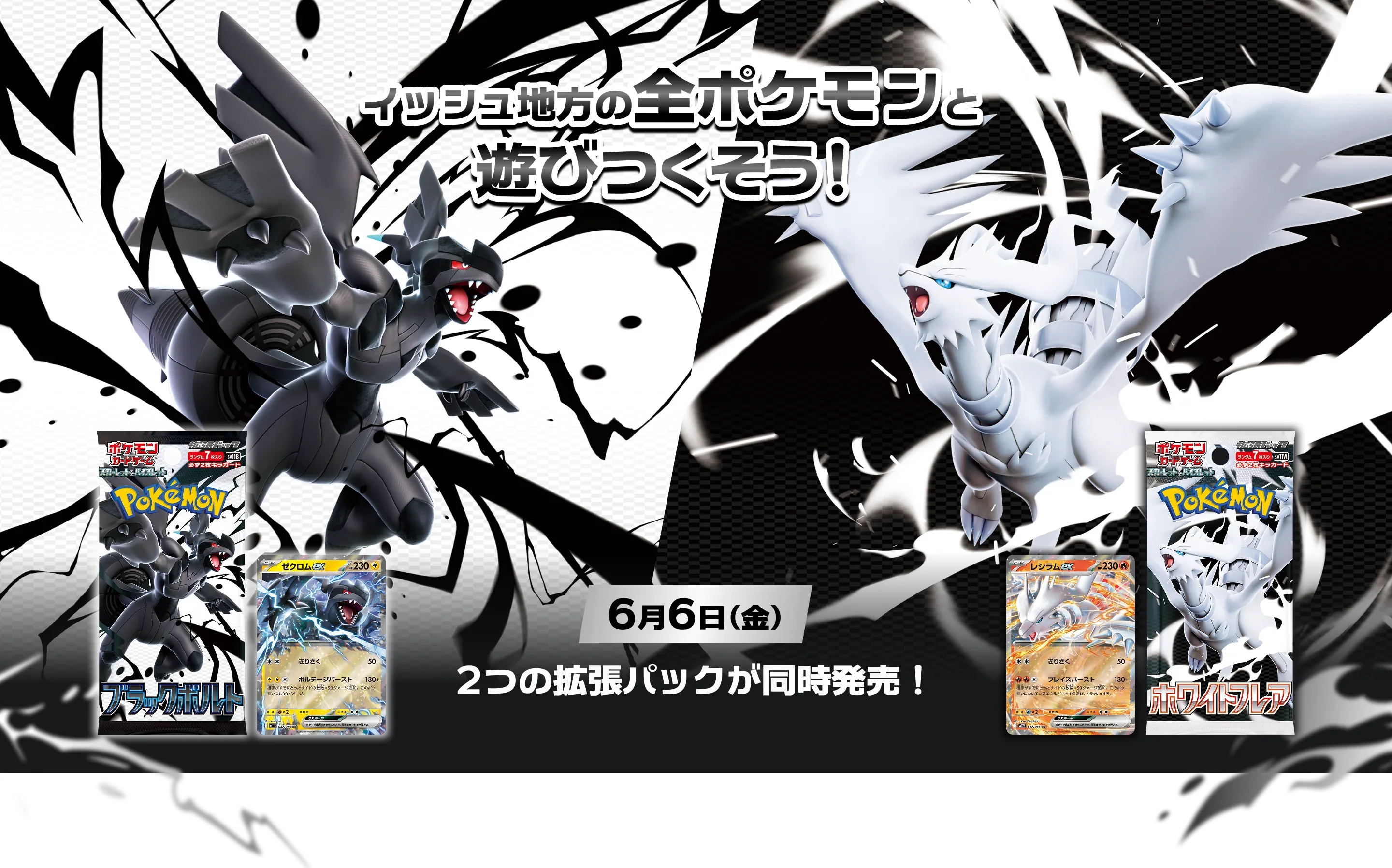 Black Volt / White flare 1BOX分set Black Volt / White flare 1BOX分set s-l400.jpg