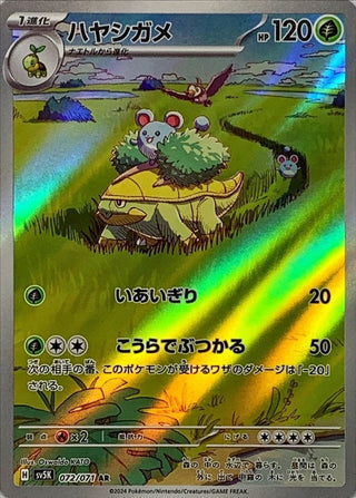 {072/071}Grotle AR | Japanese Pokemon Single Card