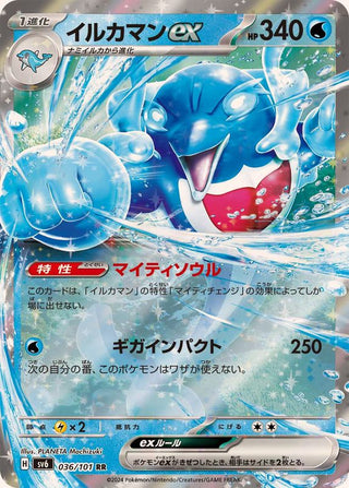 {036/101}Palafin  ex RR | Japanese Pokemon Single Card