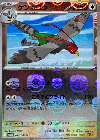 {075/086}Unfezant[Masterball]  | Japanese Pokemon Single Card