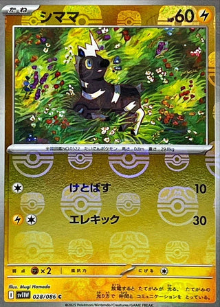 {028/086}Blitzle[Masterball]  | Japanese Pokemon Single Card